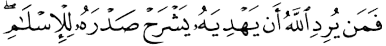Whomever God wills to guide, He will open his chest to Islam (6:125)
